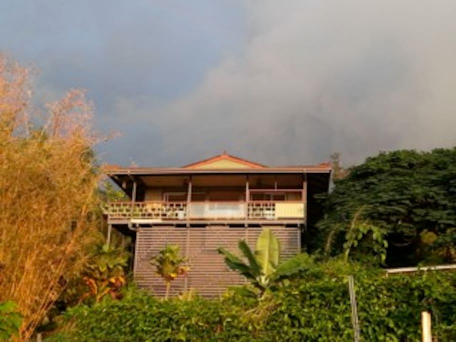 Honaunau Wellness Retreat Farm Guest House