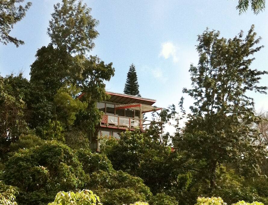 Totally Private, Oceanview Retreat Houses for Rent in Makawao