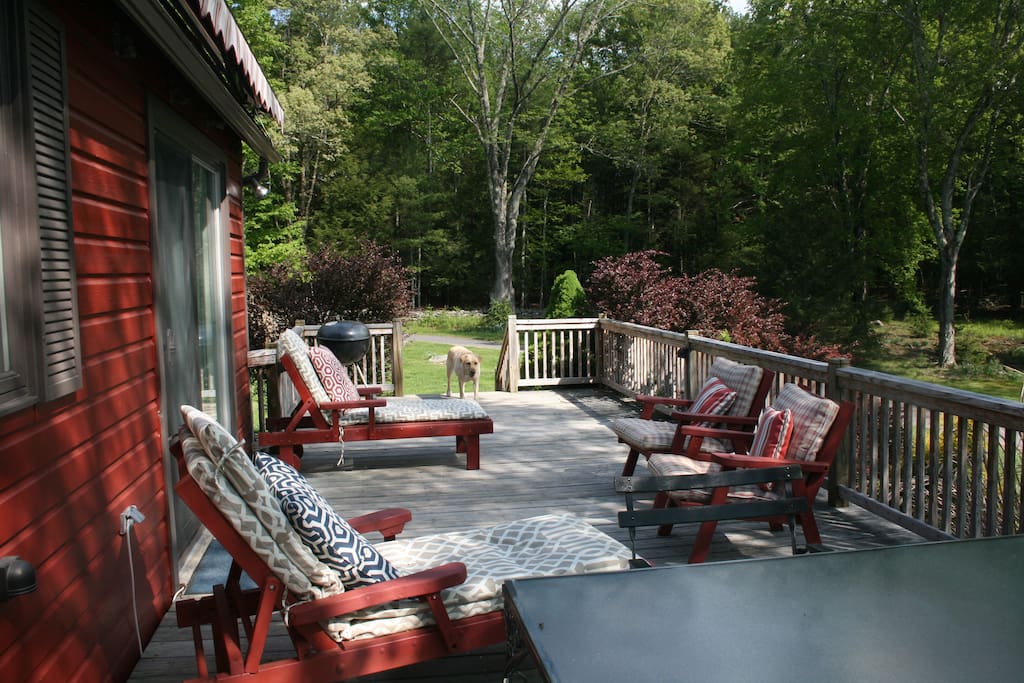 Cozy Mountain Cottage Houses for Rent in Olivebridge