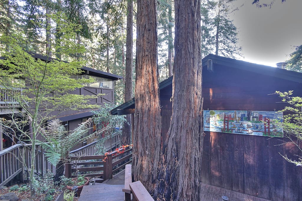 Quintessential Mill Valley home