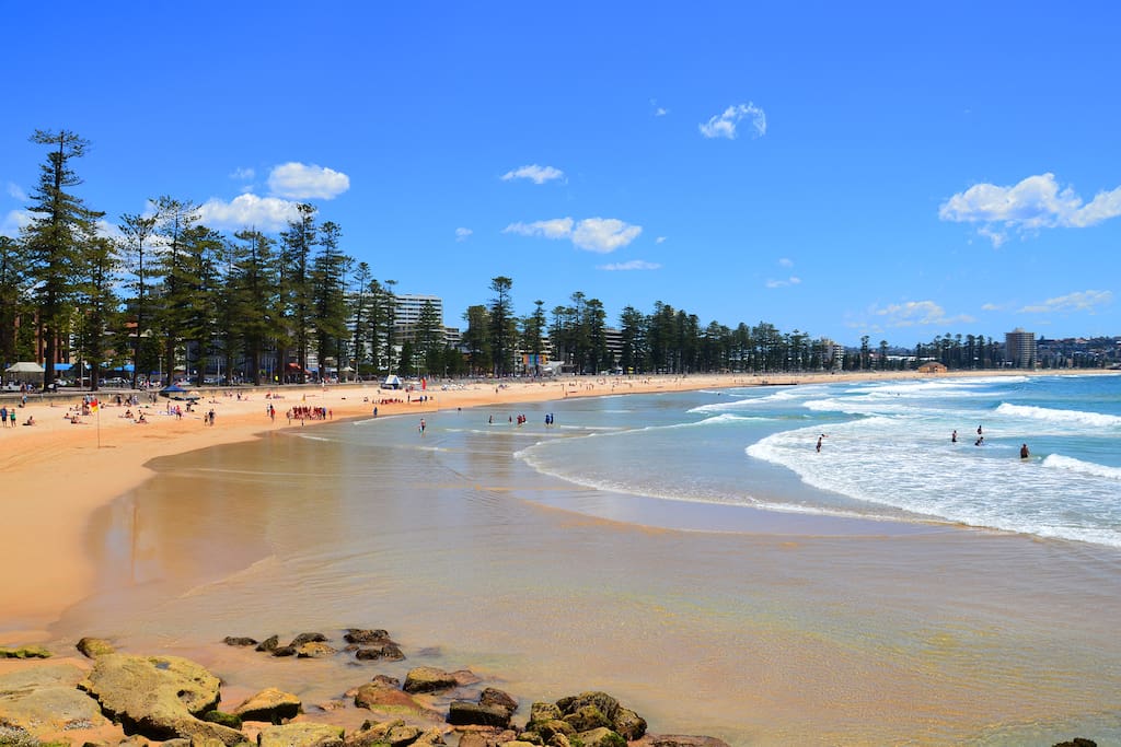 Manly on the Beach