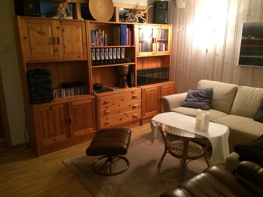 Kjellerleilighet i tomannsbolig apartments for rent in lillehammer