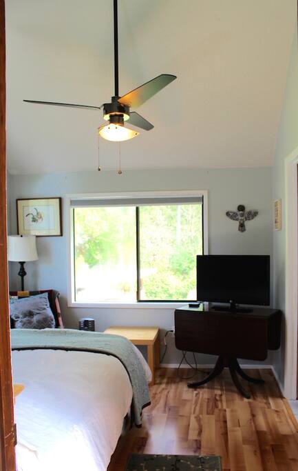 Flat screen TV including Netflix