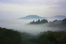 20 min to florence wifi wine view 