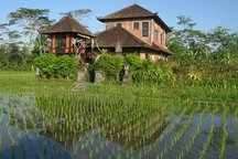 REAL BALI @ Swallow Guesthouse 1bed