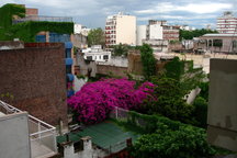 Palermo Soho in Palermo Viejo